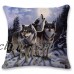 Cute3D Animal Dog Wolf Tiger Sofa Bed Car Pillow Case Cushion Cover Home Decor   123309974762